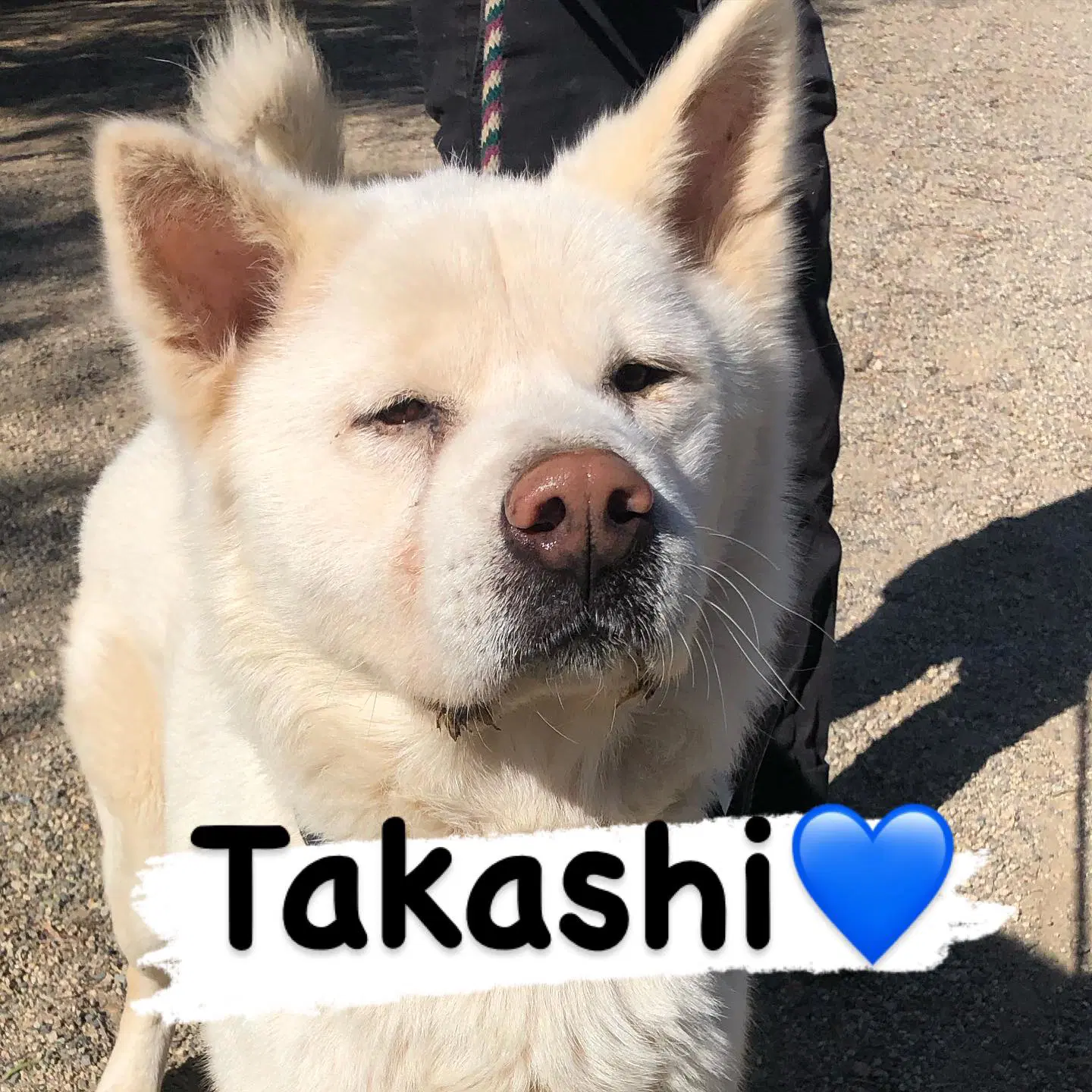 Takashi image 3