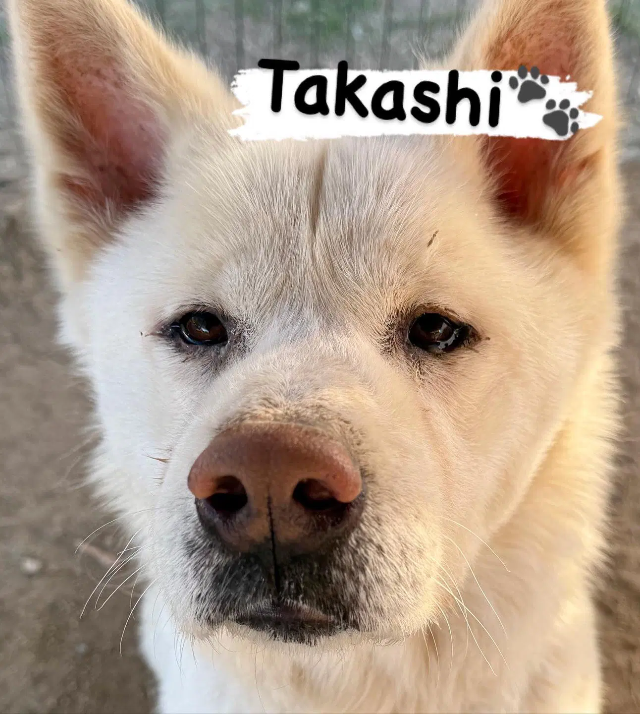 Takashi image 4