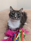 Eleanor