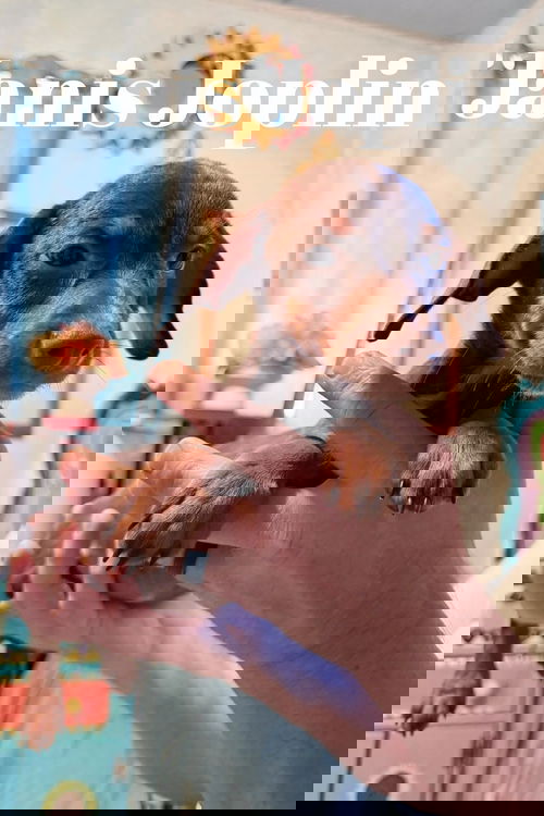 Janis Joplin 3413