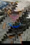 Jasper 3414