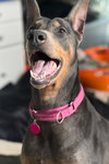 Nellie 3422