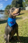 Nellie 3422