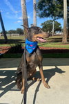 Nellie 3422
