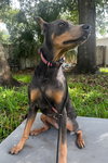 Nellie 3422