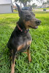 Nellie 3422