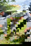 Rex 3424
