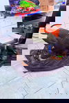 Turtle 3442