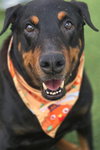 Rocky 3484