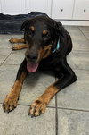 Rocky 3484