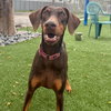 Roxy 3495