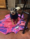 Raya - Photo 1