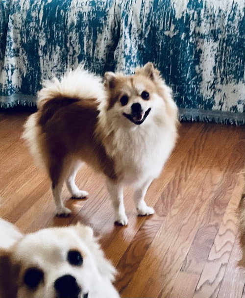 Tina