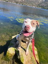 Morgan - Photo 5