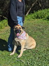 Indy - Photo 8