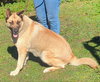 Indy - Photo 9
