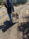 Indy - Photo 2