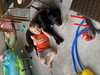 Winnie - Photo 3