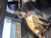 Tony - Photo 3