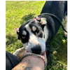 Molly - Photo 2