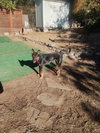 Maze - Photo 6