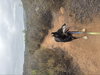 Milo - Photo 2