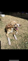 Mia - Photo 1