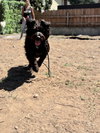 Misu - Photo 8