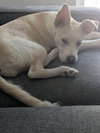 Akari - Photo 2