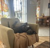 Kima - Photo 3