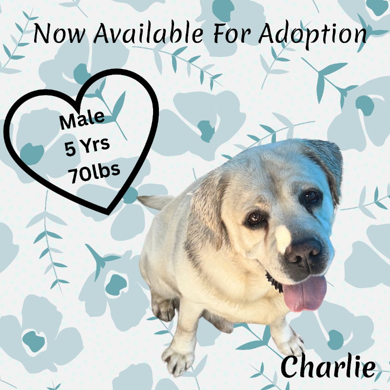 Charlie
