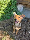 Molly - Photo 1