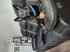 Teddy - Photo 3