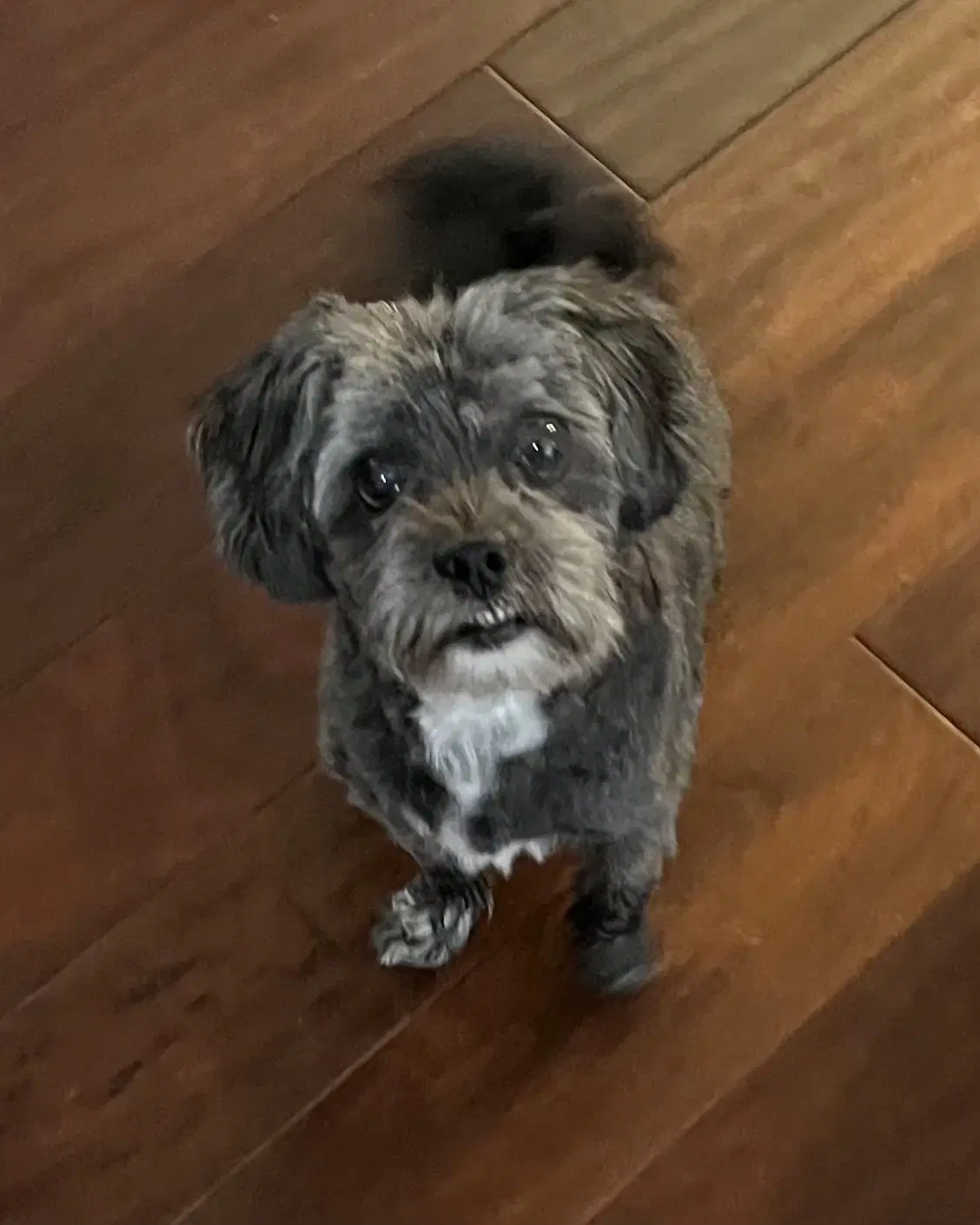 Walter image 1