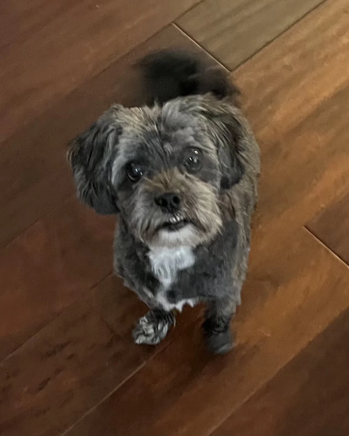 Walter