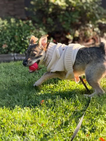 Rylo, photo 2