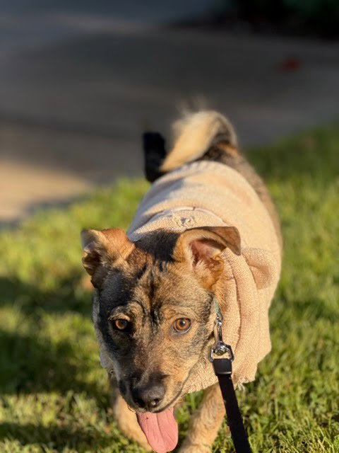 Rylo, photo 8