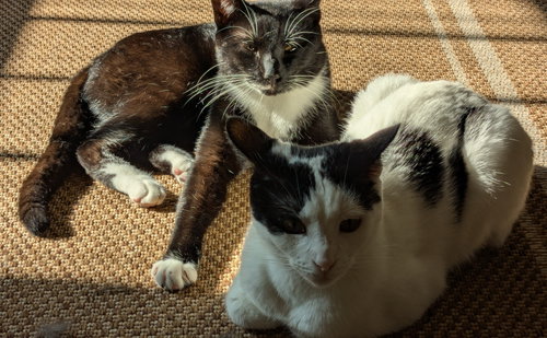 Photo 3 of Mother and Son