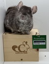 Topsy - Photo 2