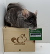 Topsy - Photo 3