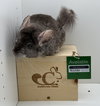 Topsy - Photo 6