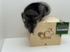 adoptable Chinchilla in  named Martin