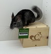 Chilipeper - Photo 2