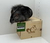 Chilipeper - Photo 4