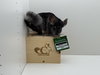 Jelly Bean - Photo 4
