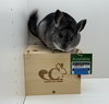 Milo - Photo 1