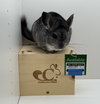 Milo - Photo 4