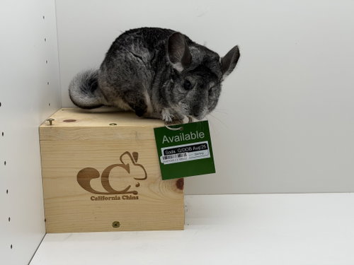 Photo 2 of Soda