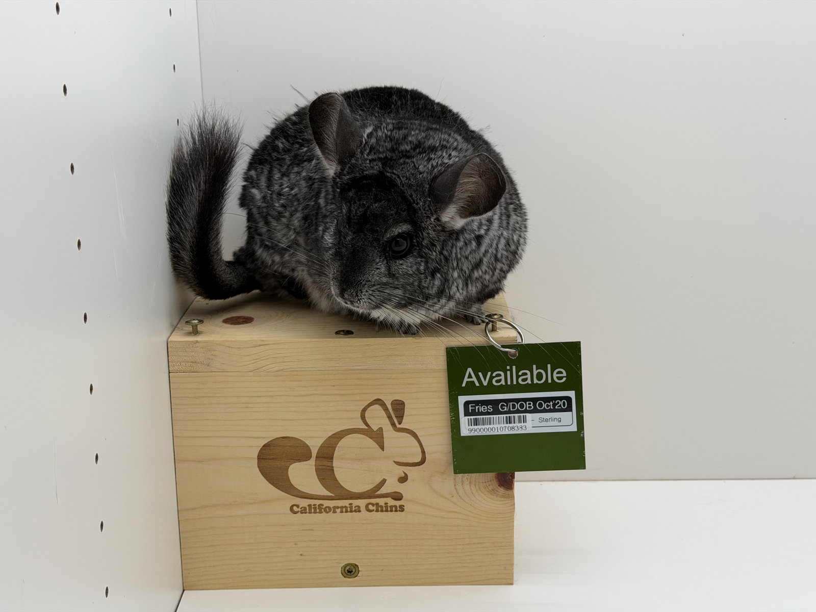 Fries, photo 3
