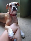 Everly - Photo 2